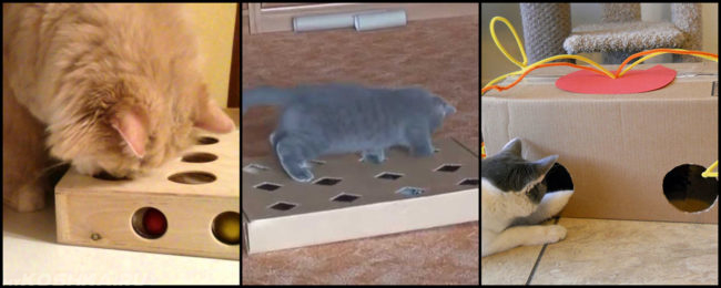 Различные варианты наполнения коробки для игр с кошкой