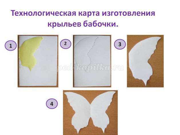 Аппликация из цветной бумаги Бабочка