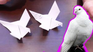 Символ мира голубь оригами