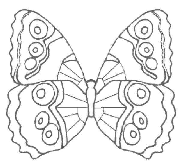 аппликация из бумаги бабочка (1)