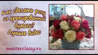 Как сделать розу из крепированной бумаги? Лучшее видео