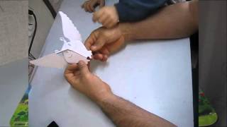 Объемная поделка из бумаги сова и ворона