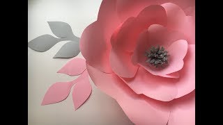 Цветы из бумаги/flower of paper