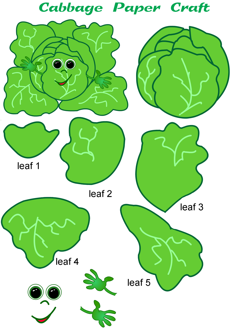 Cabbage Paper Craft Template