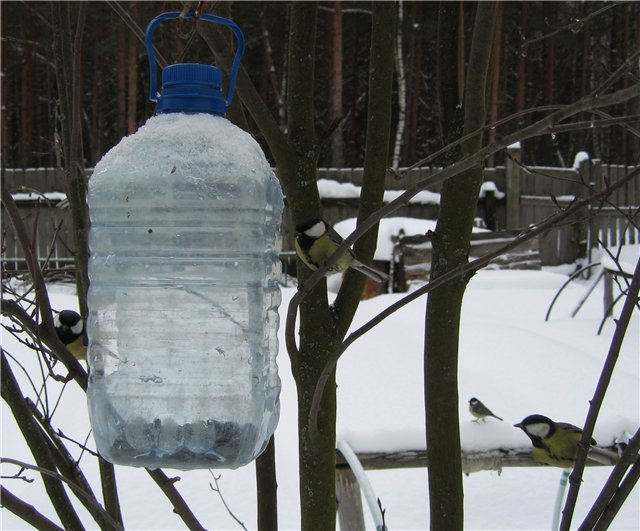 Кормушка из 5-литровой пластиковой бутылки