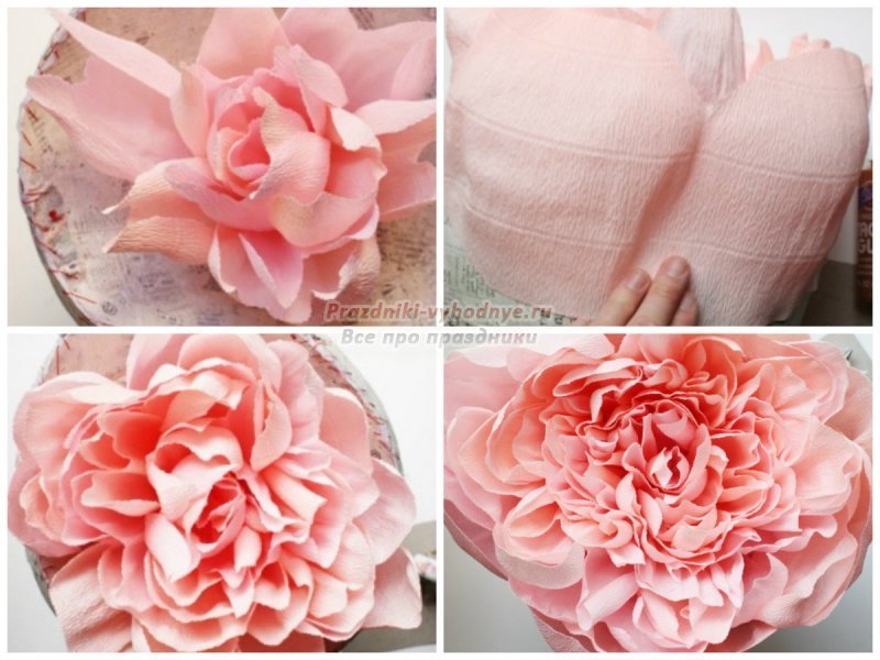 Квіти з гофрованого паперу своїми руками: майстер класи з фото