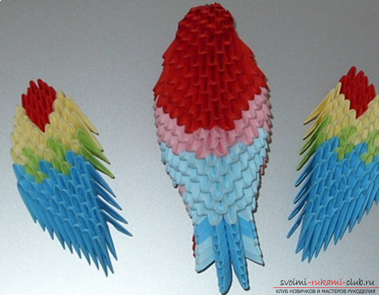 Попугай в технике модульное оригами. Фото №40