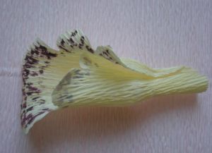 цветы из конфет своими руками45