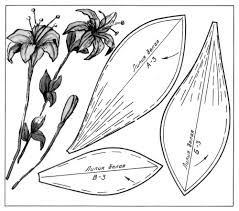 Выкройки для лилии из фоамирана