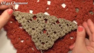 Бактус Шаль одним красивым узором shawl pattern