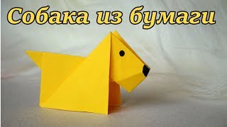 Origami dog from paper tutorial. Оригами для новичков. Собака из бумаги своими руками: видео урок