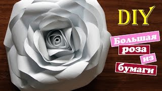 Большая роза из бумаги / Цветок из бумаги / Mary F Diy / Flower of paper