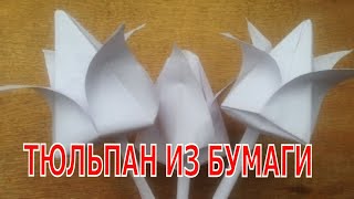 Как сделать тюльпан из бумаги. Оригами.