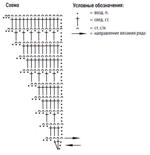 бактус схема