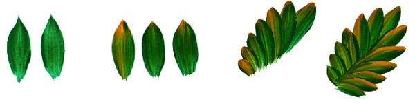 Урок петриківського розпису: крок 3