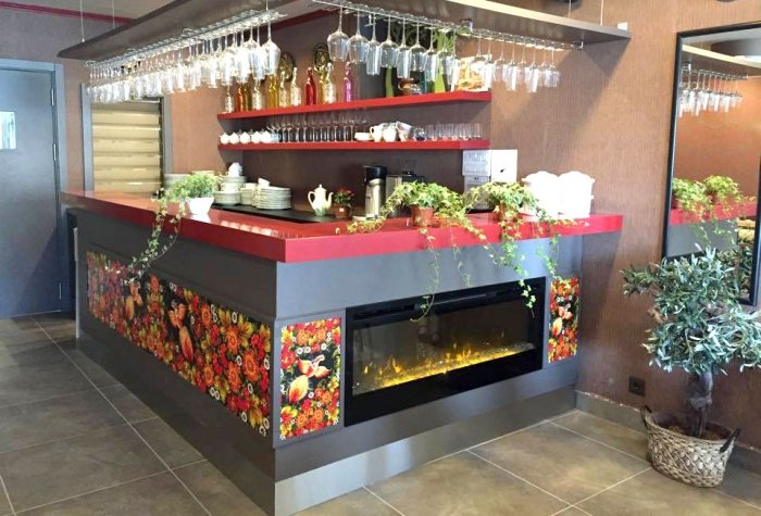 Петриківський розпис. Майстер-клас для початківців