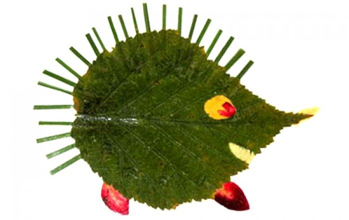 аппликация из осенних листьев, фото 15