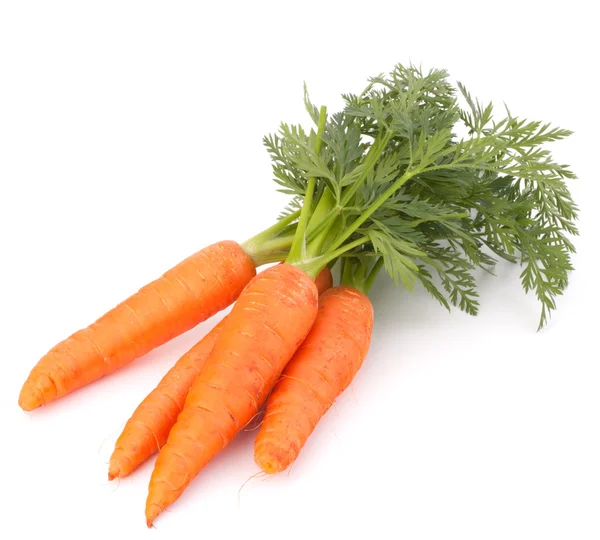 Овощной морковь с листьями — стоковое фото