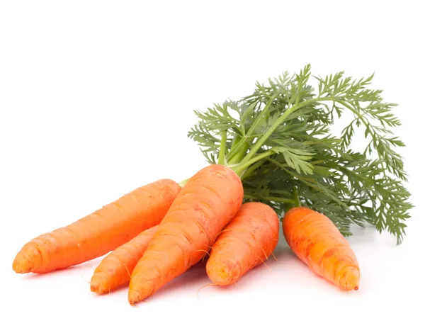 Овощной морковь с листьями — стоковое фото