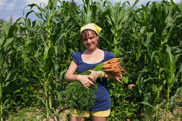 Молодая женщина с кучей морковь — стоковое фото