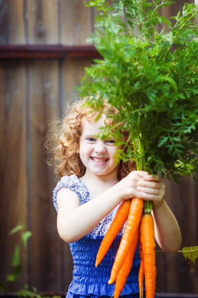 Счастливый маленькая девочка с букетом из моркови — стоковое фото