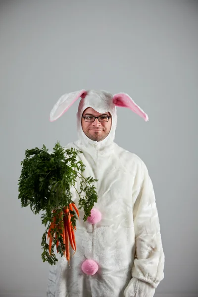 Кролика: кролик держит пучок моркови — стоковое фото