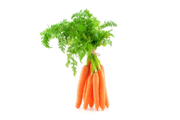Куча свежих морковь на белом фоне — стоковое фото