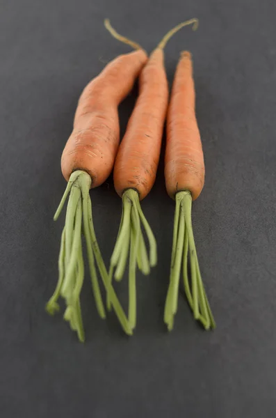 Связка моркови — стоковое фото