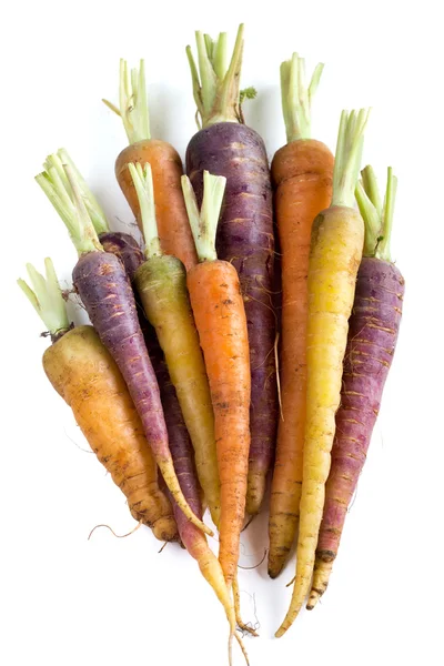 Морковь свежие органические Радуга — стоковое фото