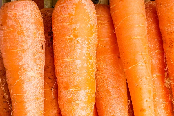 Пучок моркови, закрыть вверх и макросов — стоковое фото