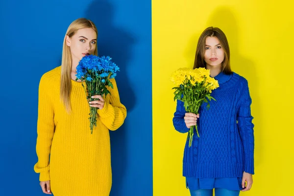 Elegant Stylish Women Holding Chrysanthemum Bouquets Blue Yellow Background — стоковое фото