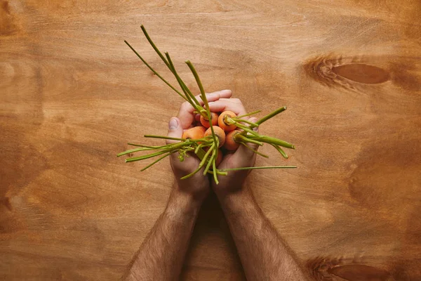 Male Hands Holding Bunch Carrots Wooden Table — стоковое фото