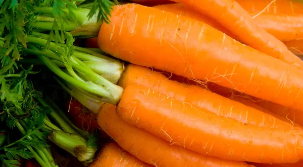 Кучу морковь — стоковое фото