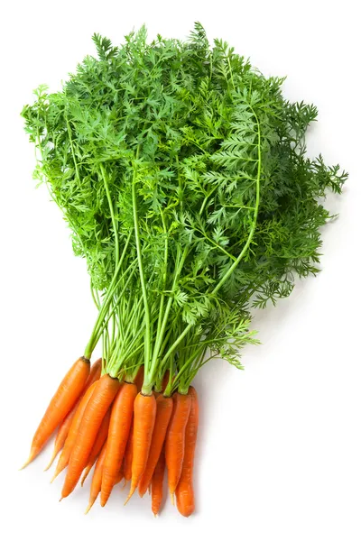 Большой пучок свежей моркови с зеленые вершины — стоковое фото