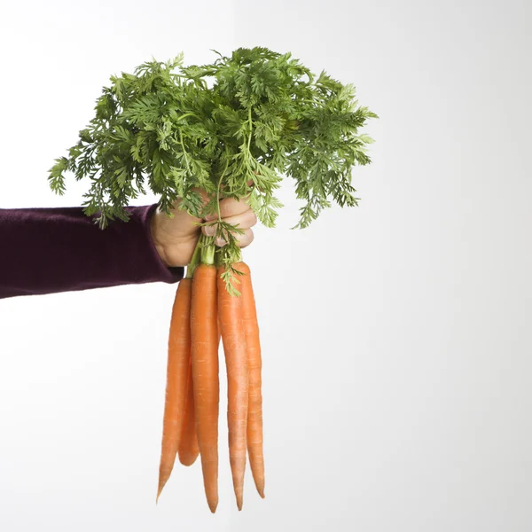 Связка моркови — стоковое фото