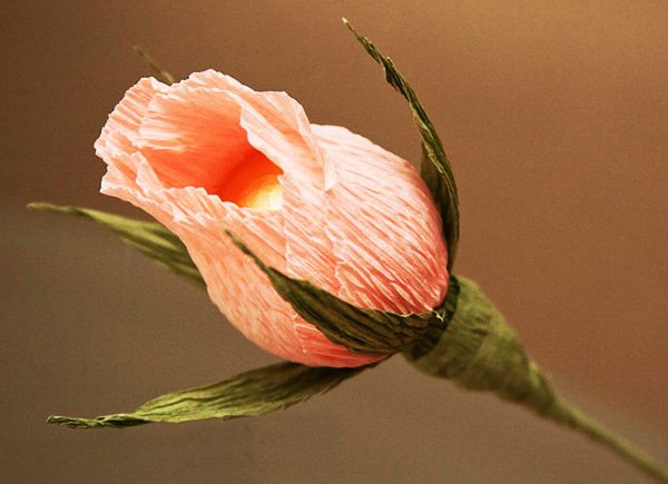 Розы из гофрированной бумаги – своими руками создаем необычные букеты