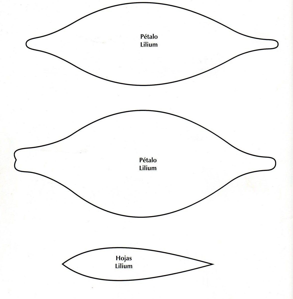 Трафареты лепестков лилии