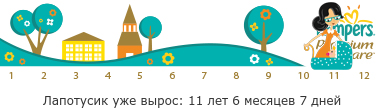 Домашний бумажный театр своими руками